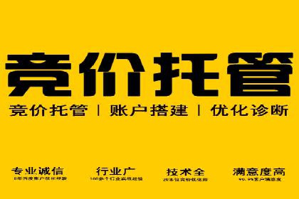 某品牌通过SEM竞价代运营公司实现品牌飞跃的历程