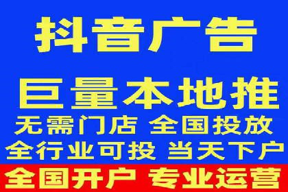 竞价广告与自然搜索的结合策略：XX网站的案例分析